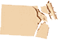 601
ivory
#2911
