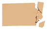 606 fawn #2916